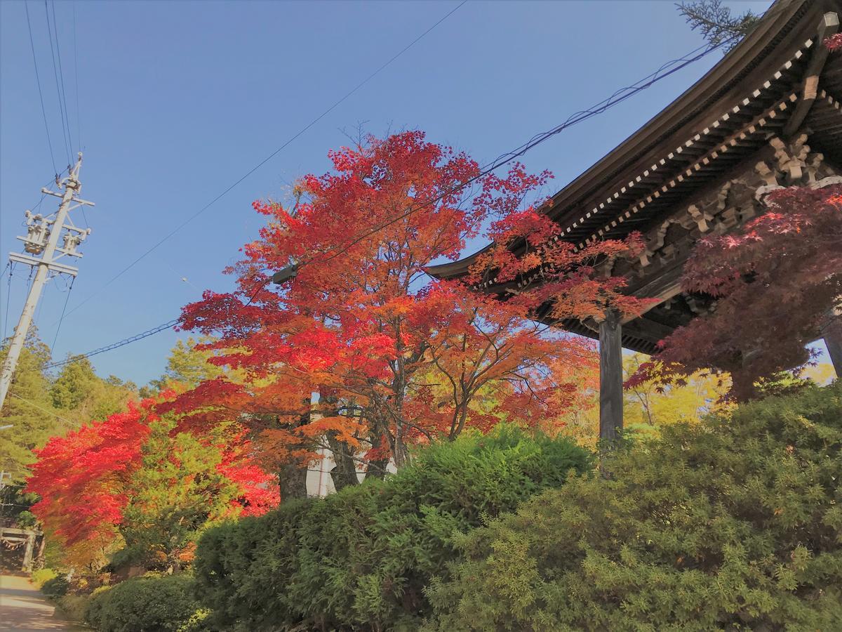 Guesthouse Daruma Takayama  Dış mekan fotoğraf