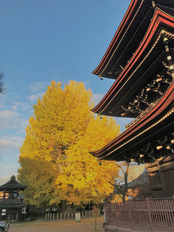 Guesthouse Daruma Takayama  Dış mekan fotoğraf